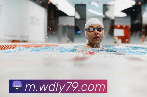 8868体育平台生态图