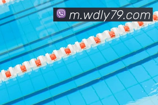 8868体育APP 封面图